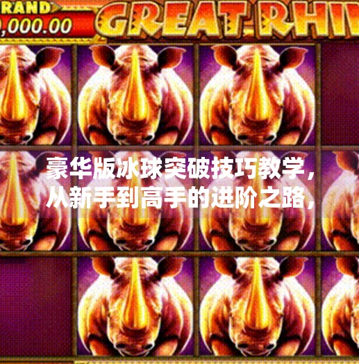 豪华版冰球突破技巧教学，从新手到高手的进阶之路，掌握这些细节让你在球场上如鱼得水！豪华版冰球突破技巧教学