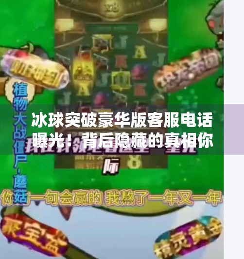 冰球突破豪华版客服电话曝光！背后隐藏的真相你敢看吗？冰球突破豪华版客服电话