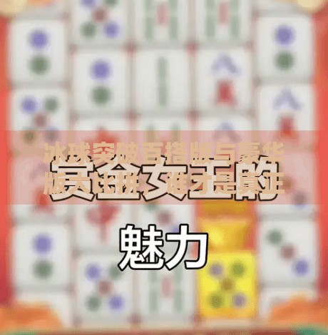 冰球突破百搭版与豪华版大比拼，谁才是真正的游戏王者？冰球突破百搭版和豪华版