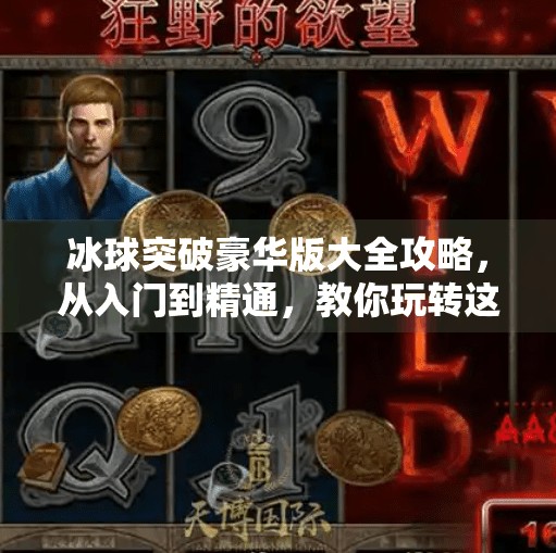 冰球突破豪华版大全攻略，从入门到精通，教你玩转这款热门游戏！冰球突破豪华版大全攻略